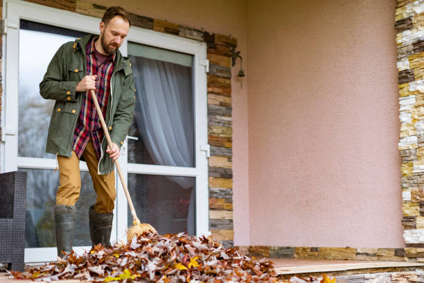 Best Basement Cleanout Services  in Lebanon, OR